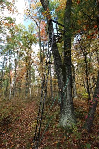 7005 E 56th Street, Newaygo, MI 49337