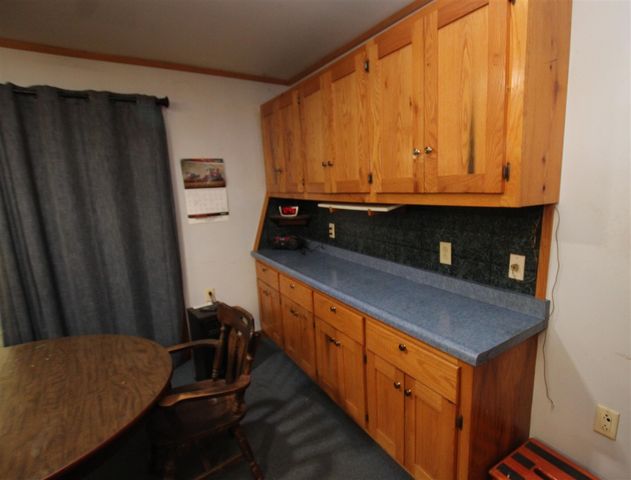 7005 E 56th Street, Newaygo, MI 49337