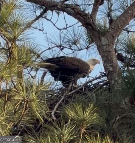 2966 Riviera Drive NW, Conyers, GA 30012