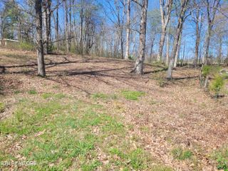 Claude Hargis Lane 163,169,181 Lane, Crawford, TN 38554