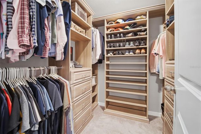 4459 GLOBE THISTLE DRIVE, Tampa, FL 33619