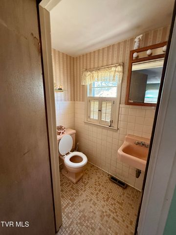 1507 Baxter Street, Johnson City, TN 37601