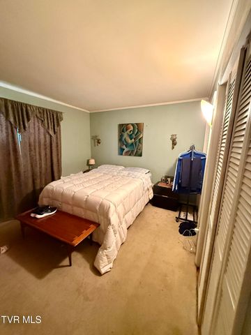 1507 Baxter Street, Johnson City, TN 37601