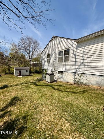 1507 Baxter Street, Johnson City, TN 37601
