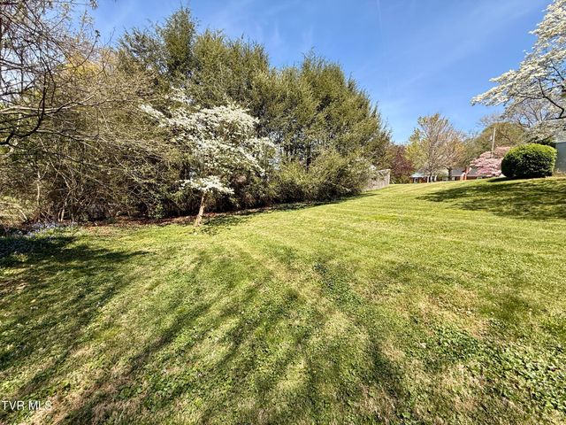 1507 Baxter Street, Johnson City, TN 37601