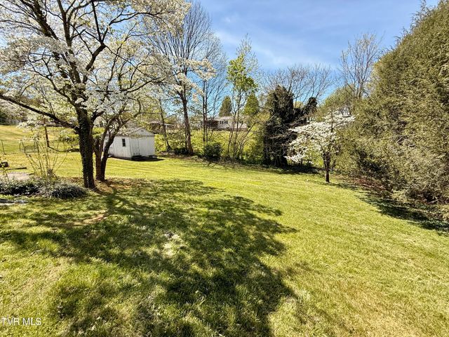 1507 Baxter Street, Johnson City, TN 37601