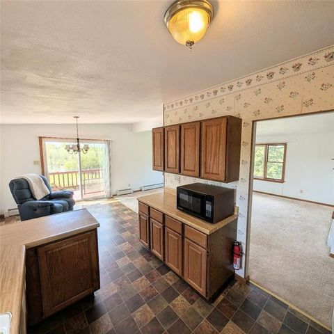 4096 Old Salt Rd, Niles, NY 13152