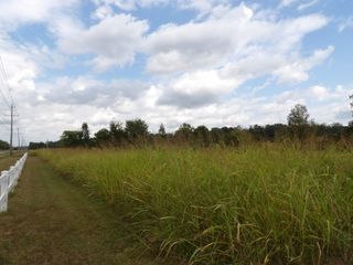 0 Highway 70 East, Waverly, TN 37185