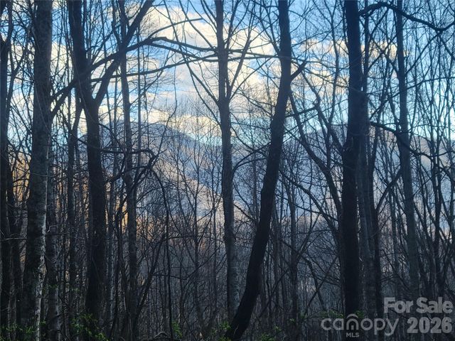 00 Rosewood Lane 11, Maggie Valley, NC 28751