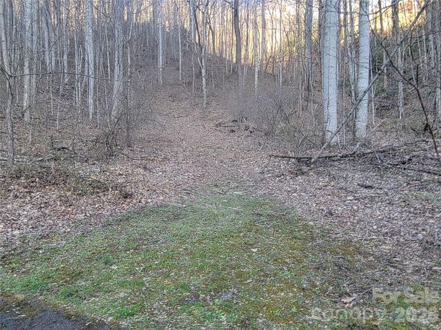 00 Rosewood Lane 11, Maggie Valley, NC 28751