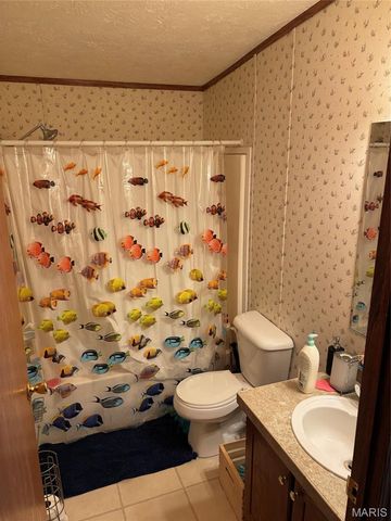 3811 Highway 137, Elk Creek, MO 65464