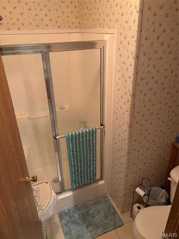 3811 Highway 137, Elk Creek, MO 65464