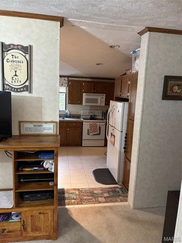 3811 Highway 137, Elk Creek, MO 65464