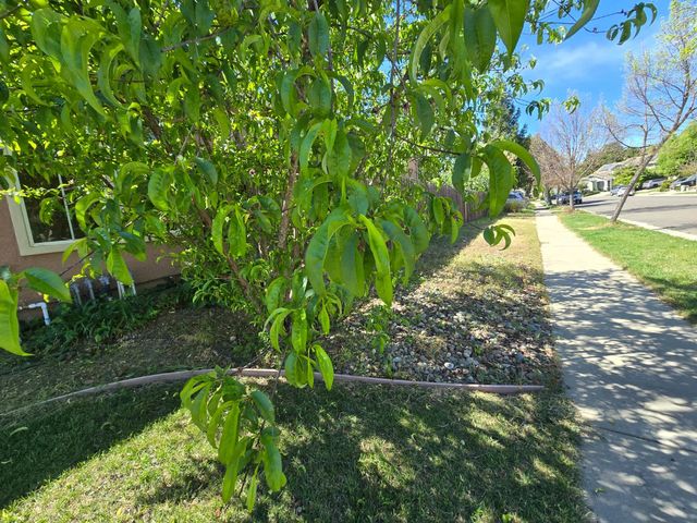 2368 Portola St, West Sacramento, CA 95691