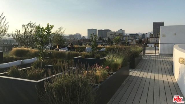 1040 S Mariposa Avenue F203, Los Angeles, CA 90006