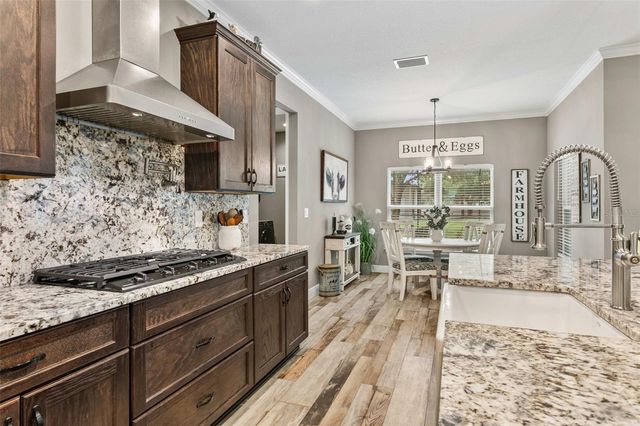 14805 SYDNEY HEIGHTS COURT, Dover, FL 33527