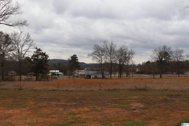 39927 HIGHWAY 79, Blountsville, AL 35031