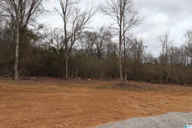 39927 HIGHWAY 79, Blountsville, AL 35031