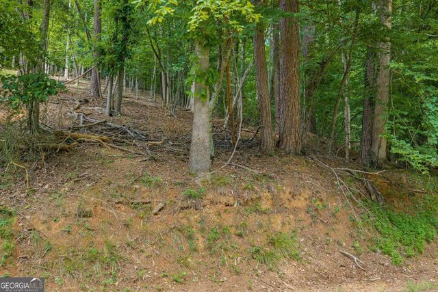 109 Edgewater Drive, Ellijay, GA 30540