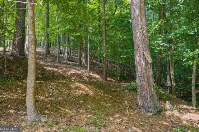 109 Edgewater Drive, Ellijay, GA 30540