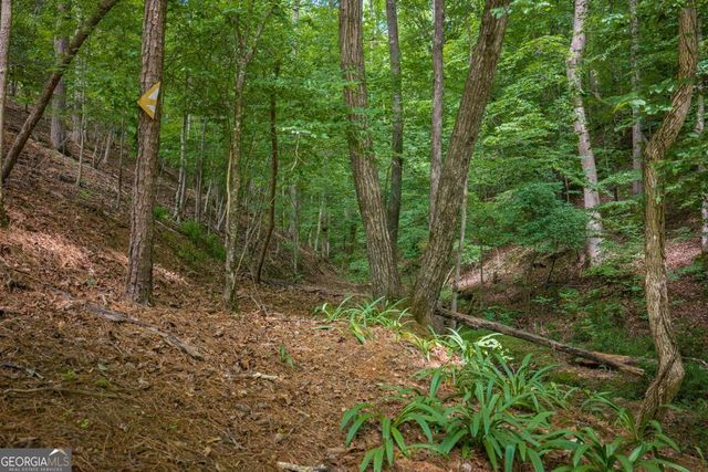 109 Edgewater Drive, Ellijay, GA 30540