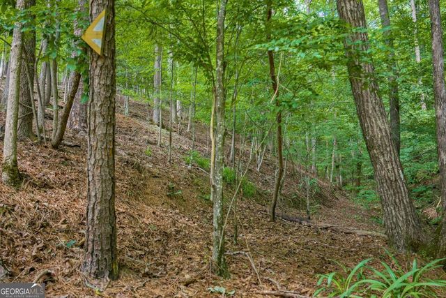 109 Edgewater Drive, Ellijay, GA 30540