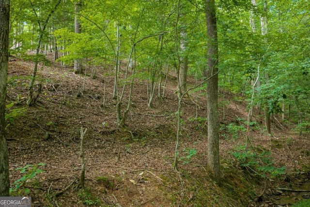 109 Edgewater Drive, Ellijay, GA 30540