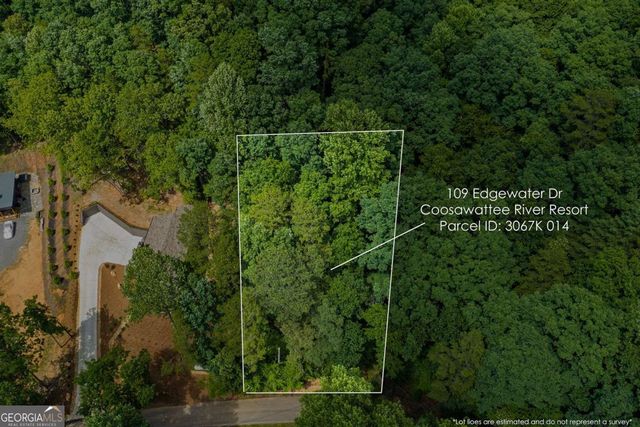 109 Edgewater Drive, Ellijay, GA 30540