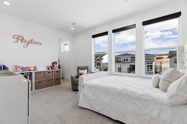 5423 Brotherton Court, Castle Rock, CO 80104