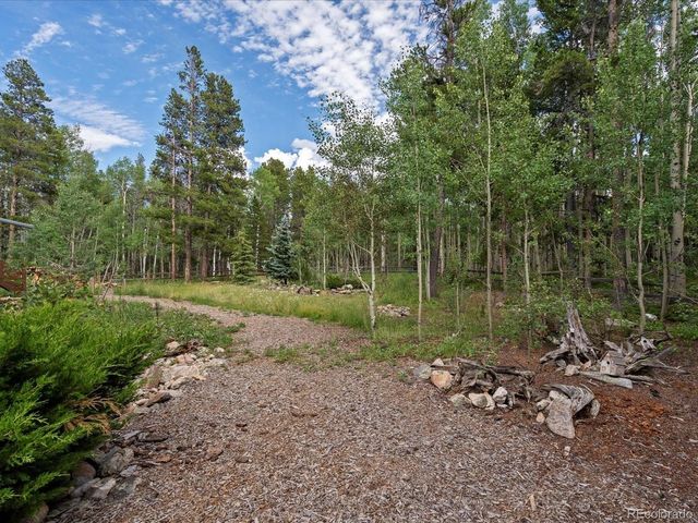 591 Creekwood Trl, Black Hawk, CO 80422