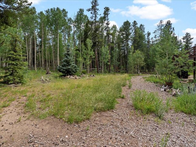 591 Creekwood Trl, Black Hawk, CO 80422