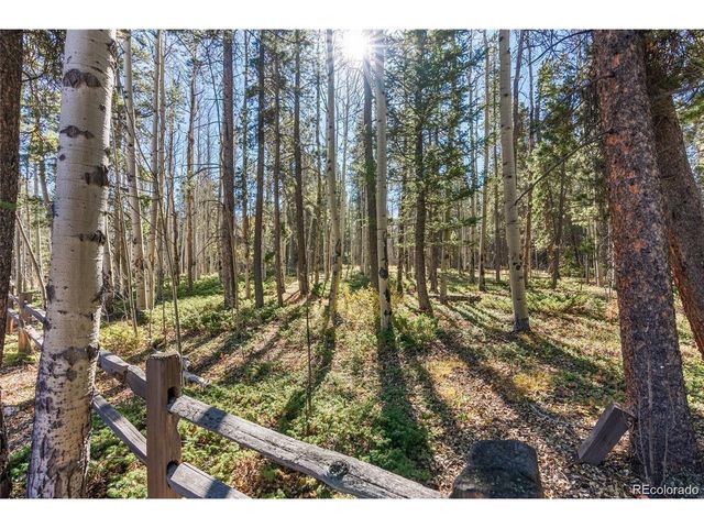591 Creekwood Trl, Black Hawk, CO 80422