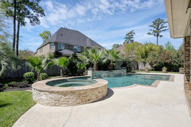 11 Rosy Finch Place, The Woodlands, TX 77389