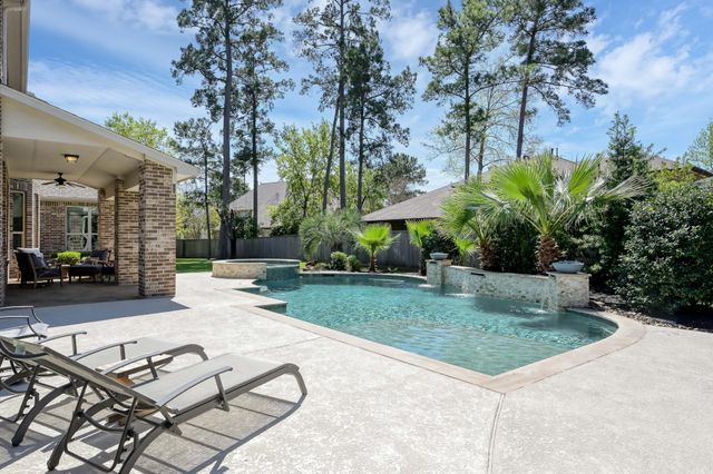 11 Rosy Finch Place, The Woodlands, TX 77389