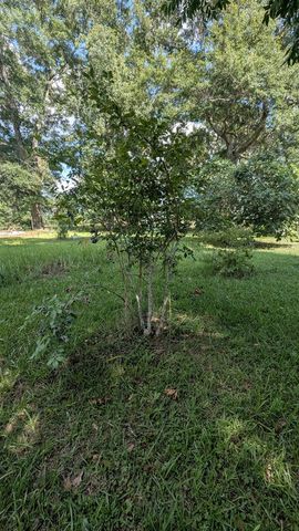 761 County Rd 45, Headland, AL 36345