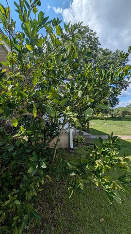761 County Rd 45, Headland, AL 36345
