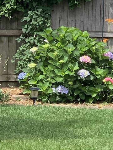 15120 Spruce Lane, Oak Forest, IL 60452