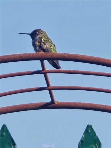 29928 Valle Olvera, Temecula, CA 92591