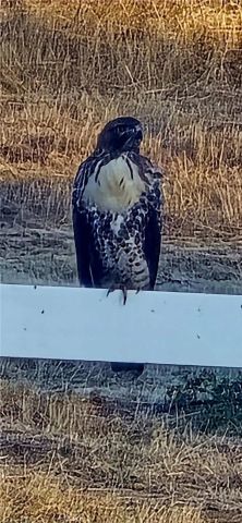 29928 Valle Olvera, Temecula, CA 92591