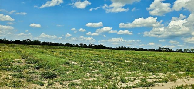 MAMMOTH GROVE ROAD, Lake Wales, FL 33898