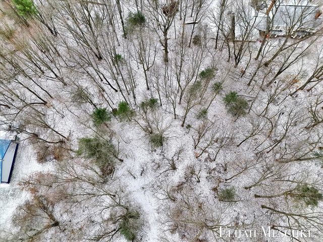 6771 Juneview Court, Rockford, MI 49341