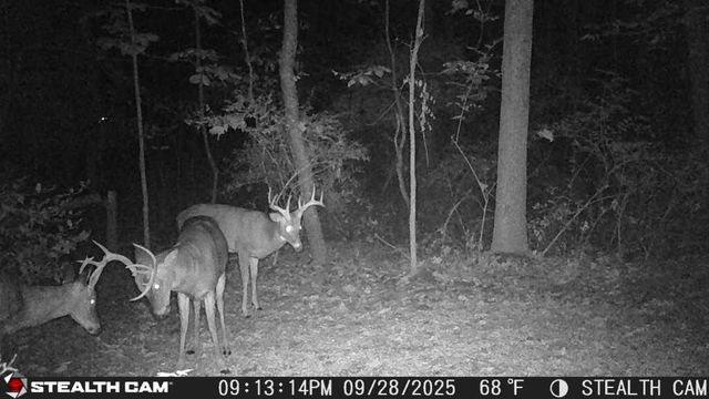 6771 Juneview Court, Rockford, MI 49341