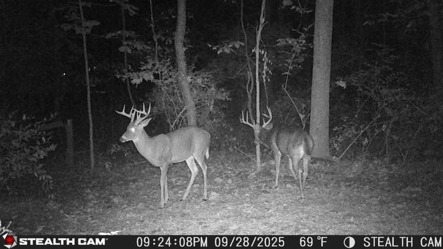 6771 Juneview Court, Rockford, MI 49341