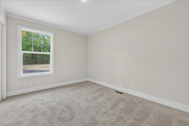 293 Branch Hollow Drive, Walterboro, SC 29488