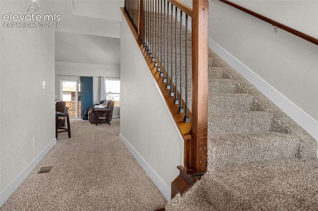 3082 Namib Drive, Colorado Springs, CO 80939 — photo 4