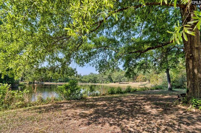 1133 Old Hilton Road, Chapin, SC 29036