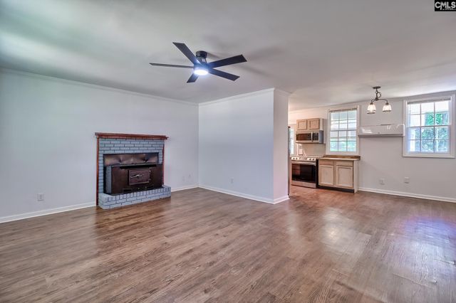 1133 Old Hilton Road, Chapin, SC 29036