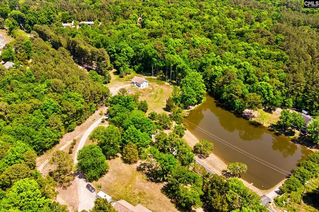 1133 Old Hilton Road, Chapin, SC 29036