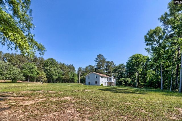 1133 Old Hilton Road, Chapin, SC 29036