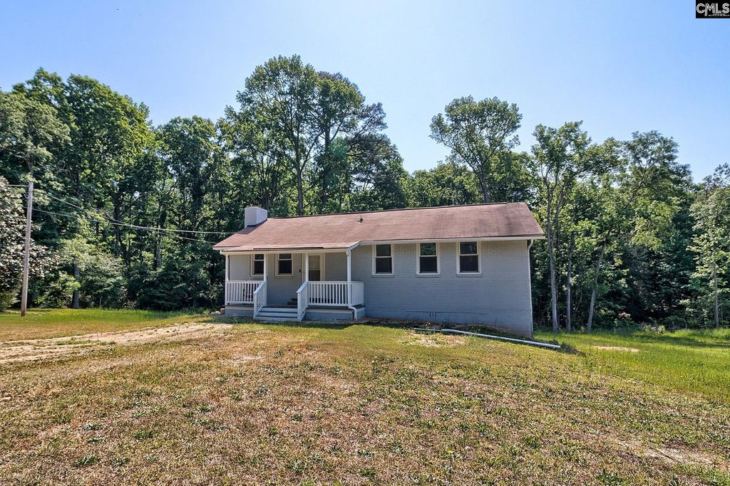 1133 Old Hilton Road, Chapin, SC 29036